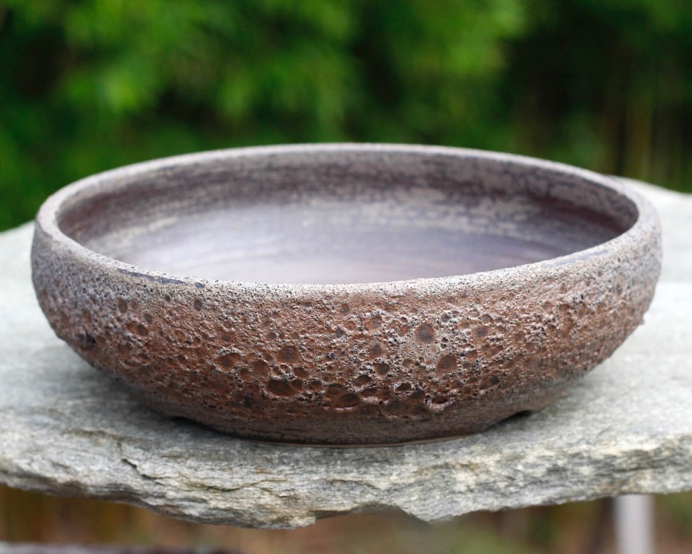 Bonsai Pot - 215mm x 55mm