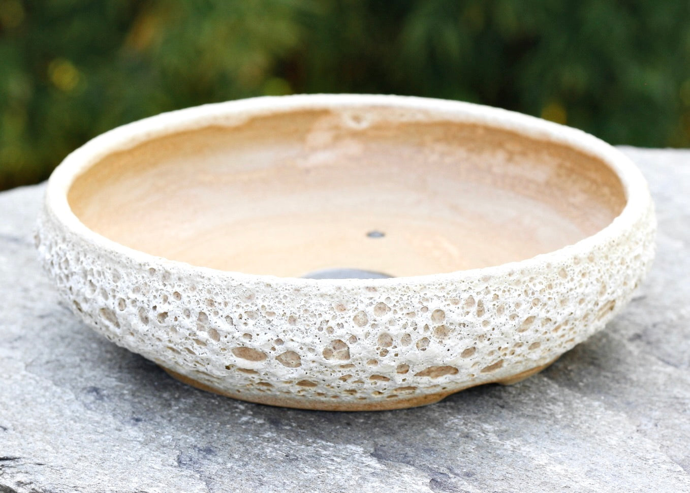 Bonsai Pot - 22cm x 6cm