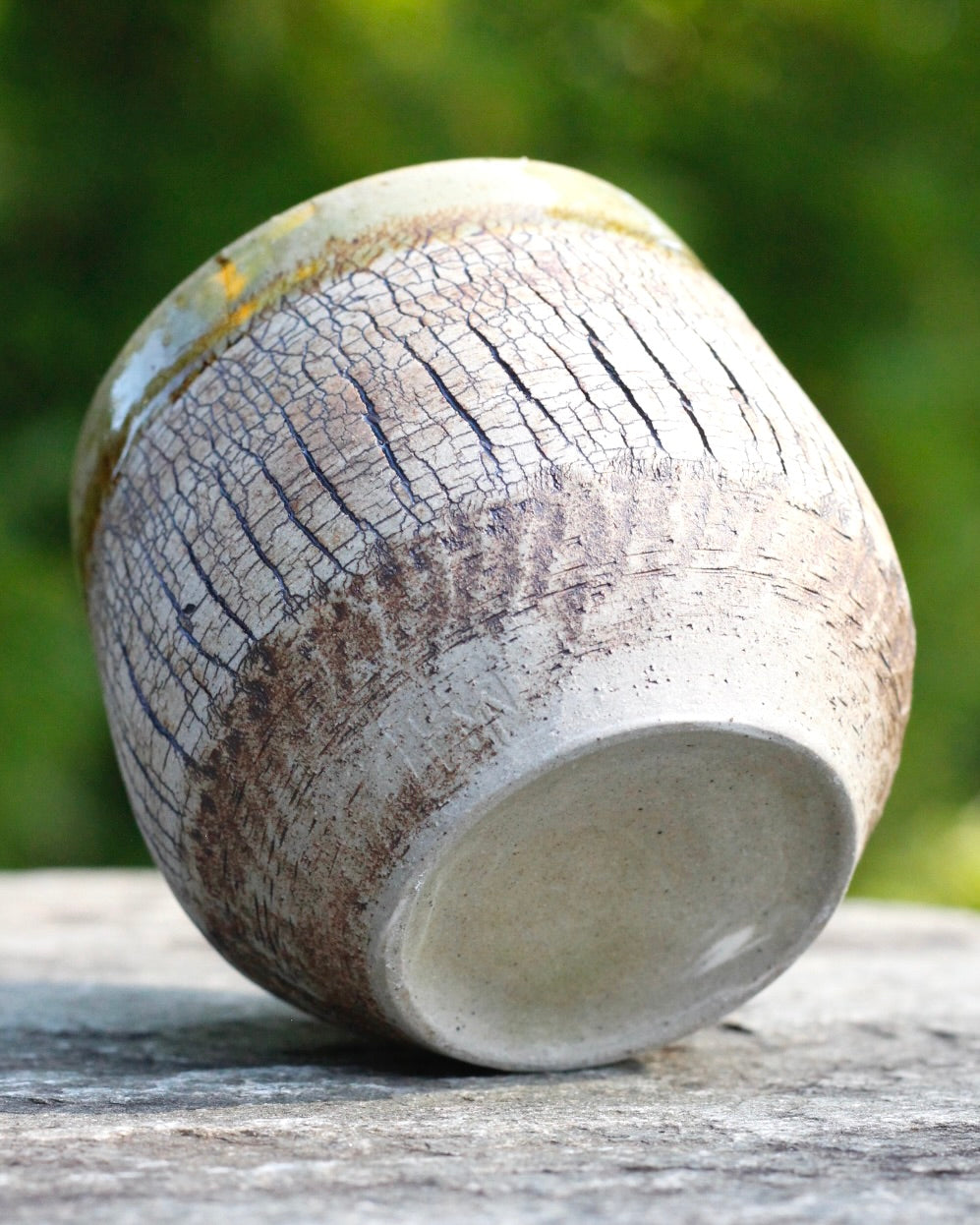 Bark and Chatter Cup