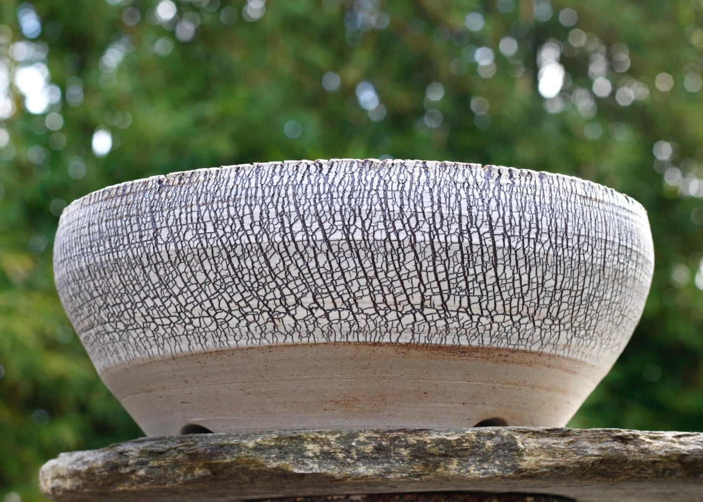 Bonsai Pot - 310mm x 120mm