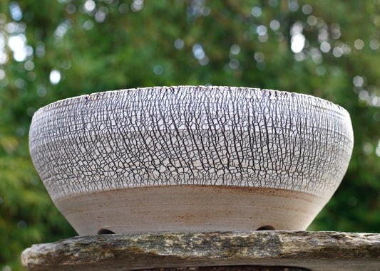 Bonsai Pot - 310mm x 120mm