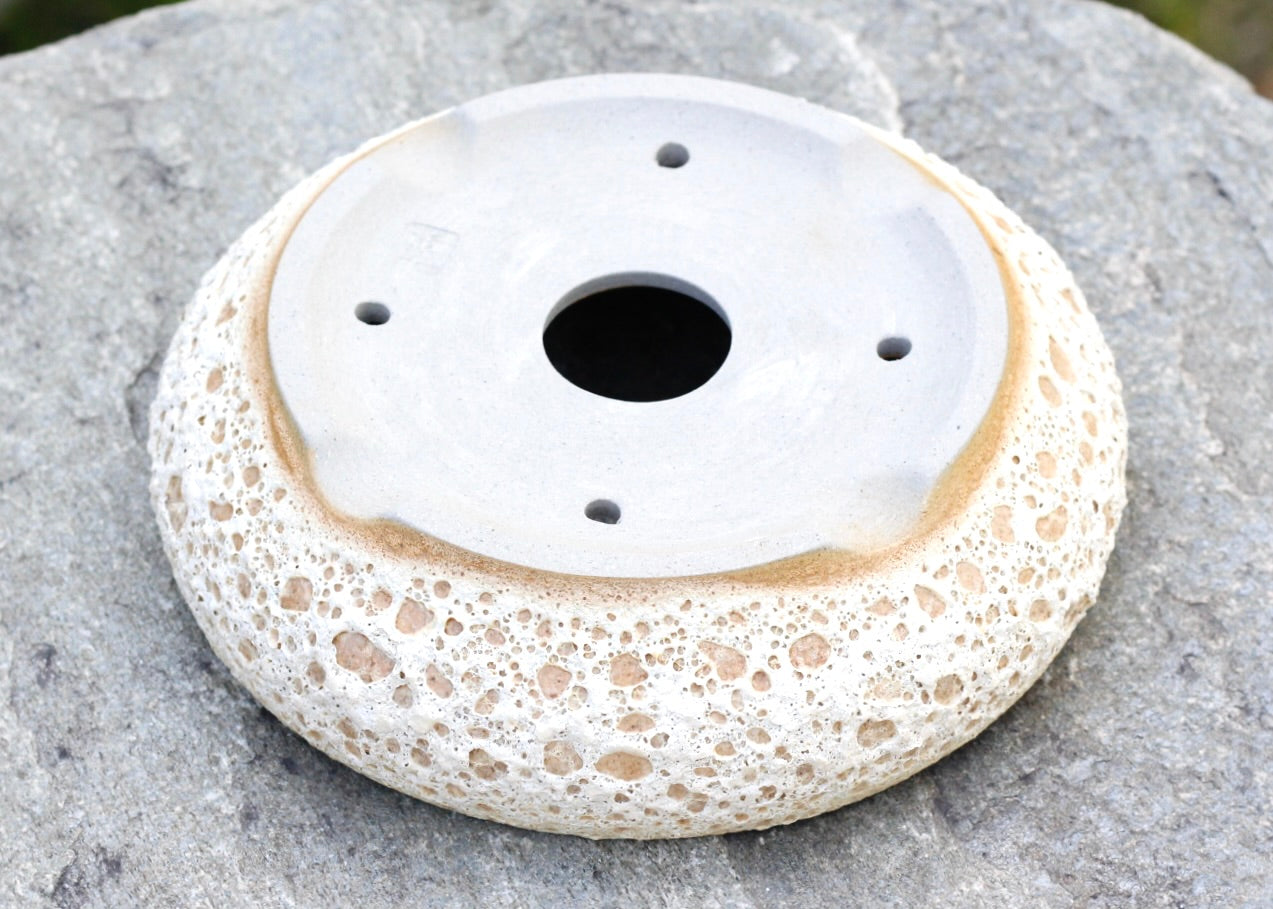 Bonsai Pot - 22cm x 6cm