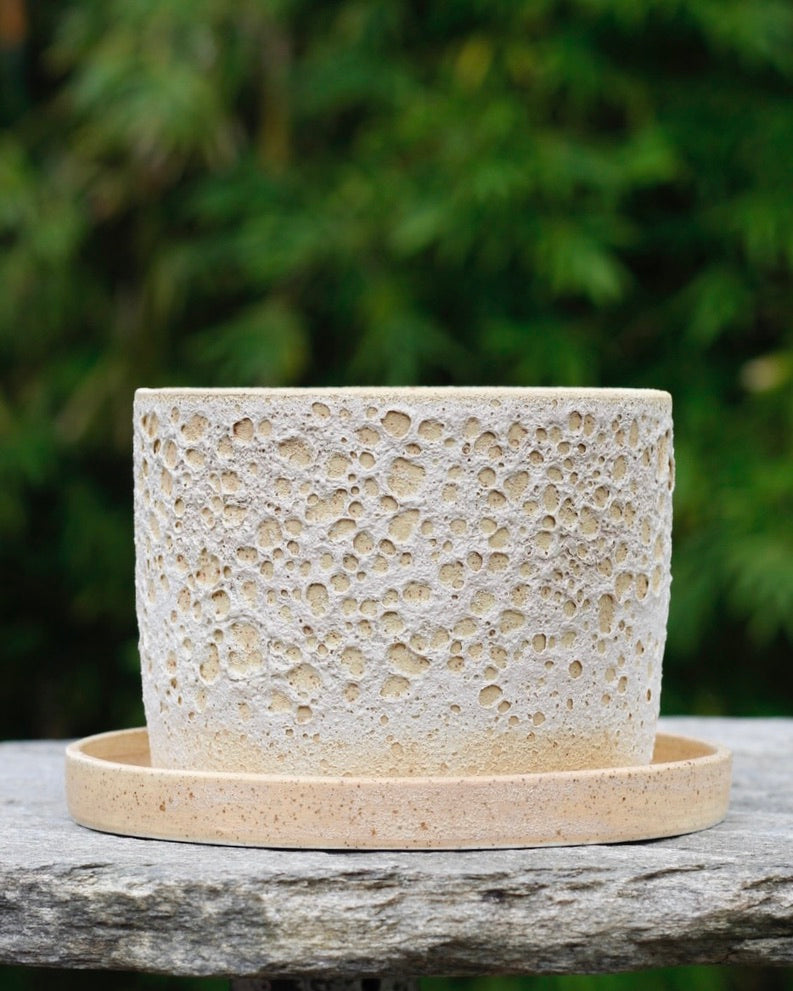 Volcano Planter with Tray