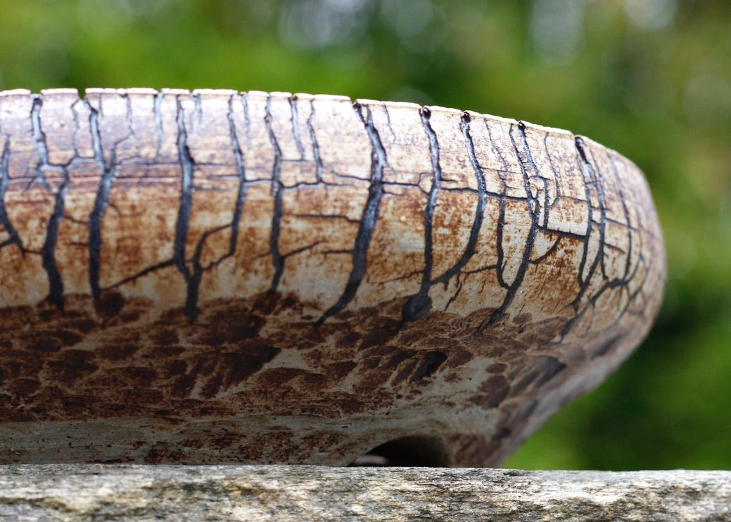 Bonsai Pot