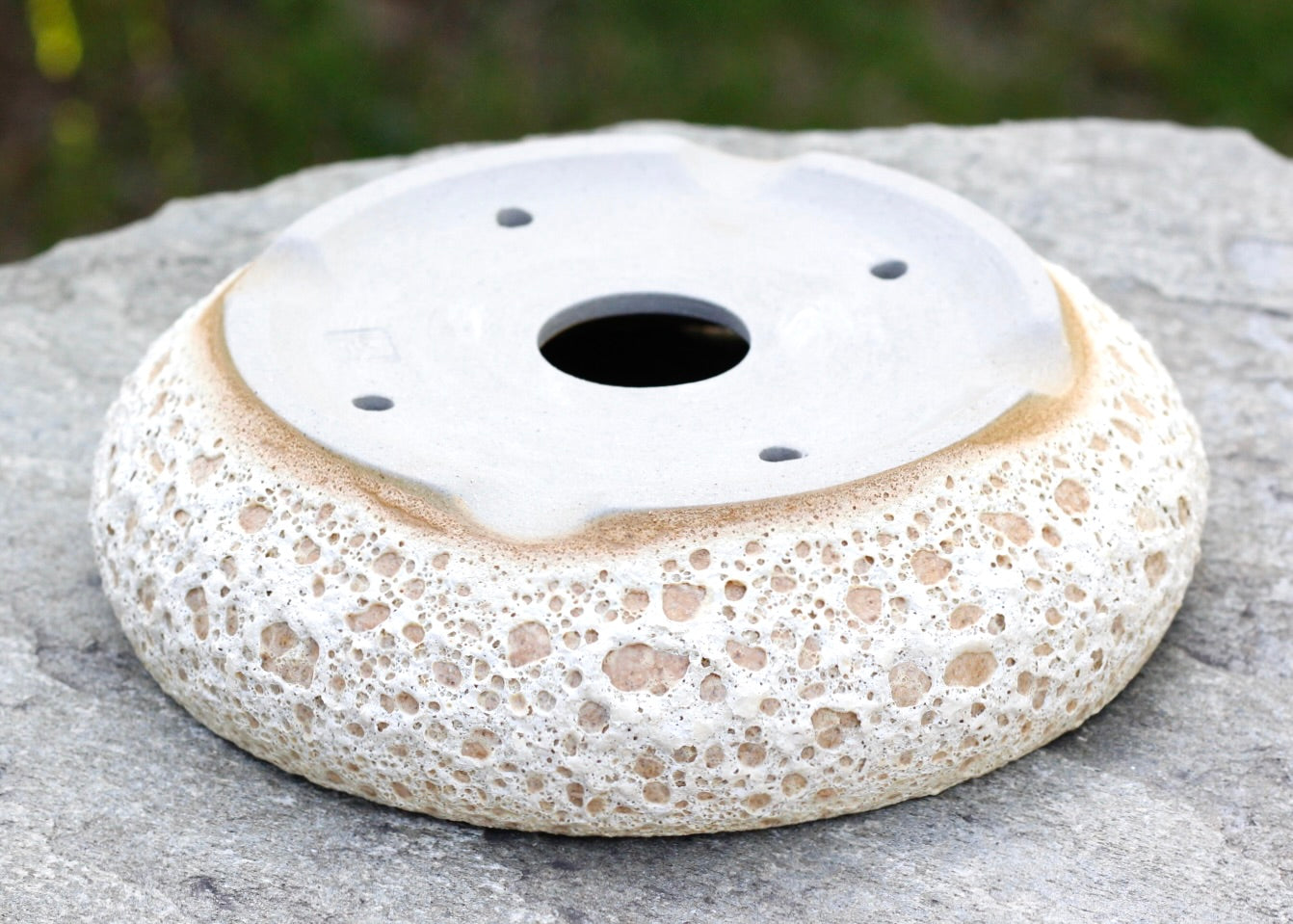 Bonsai Pot - 22cm x 6cm