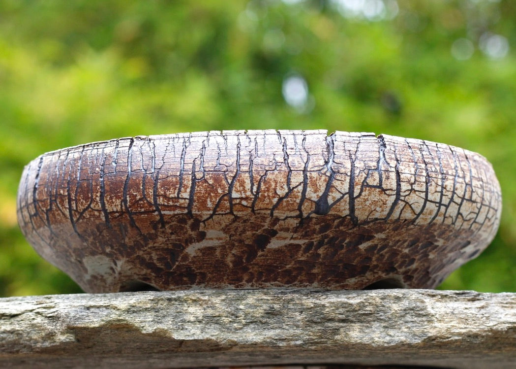 Bonsai Pot
