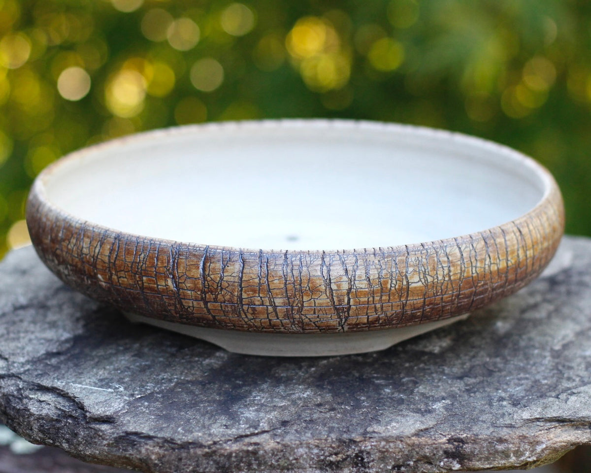 Bonsai Pot - 28.5cm x 7cm