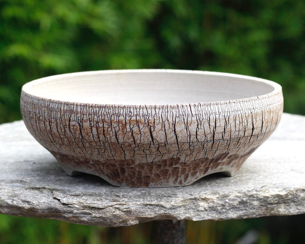 Bonsai Pot - 205mm x 60mm