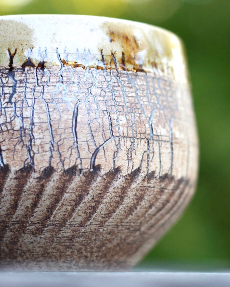 Bark and Chatter Cup