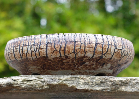 Bonsai Pot