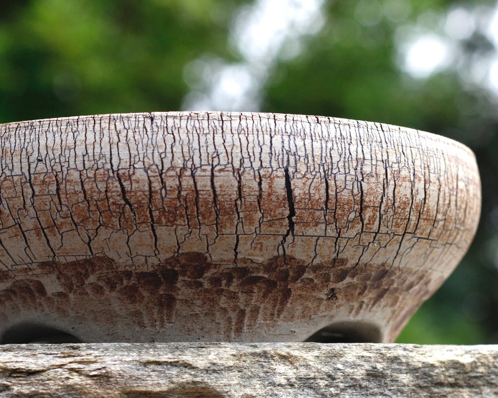Bonsai Pot - 205mm x 60mm