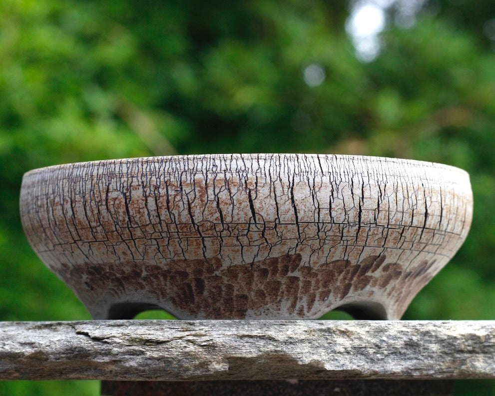 Bonsai Pot - 205mm x 60mm
