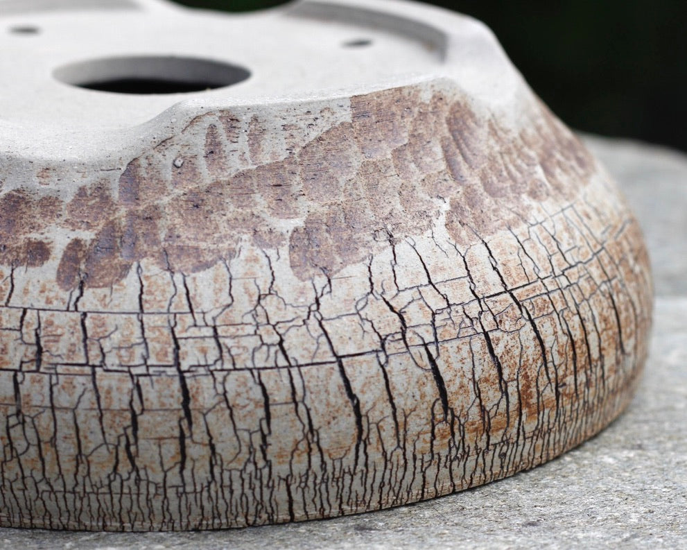 Bonsai Pot - 205mm x 60mm