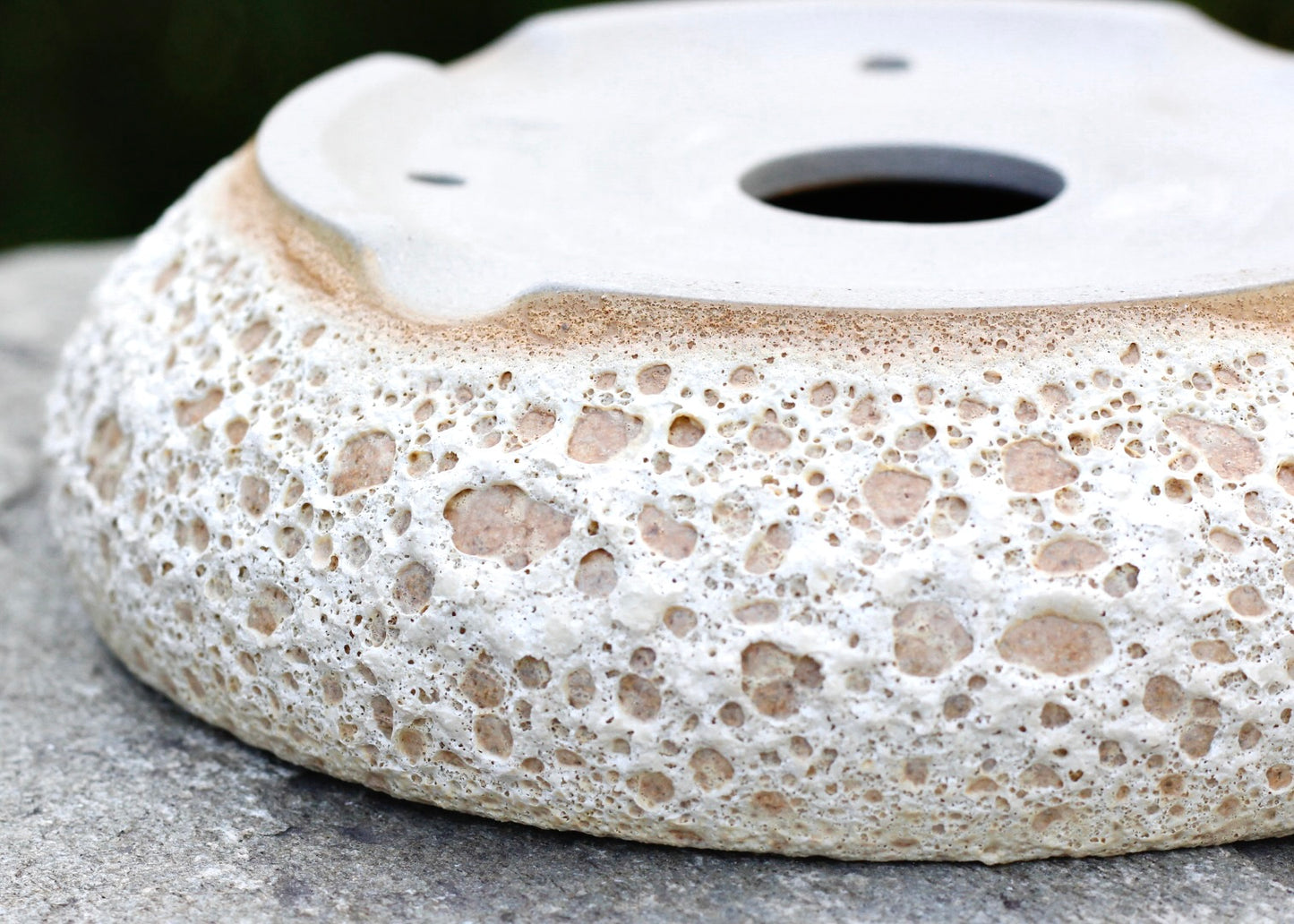 Bonsai Pot - 22cm x 6cm