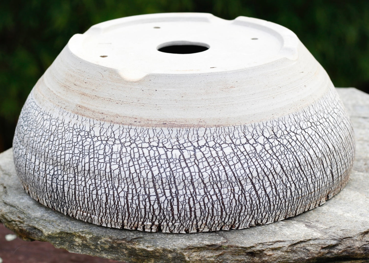 Bonsai Pot - 310mm x 120mm