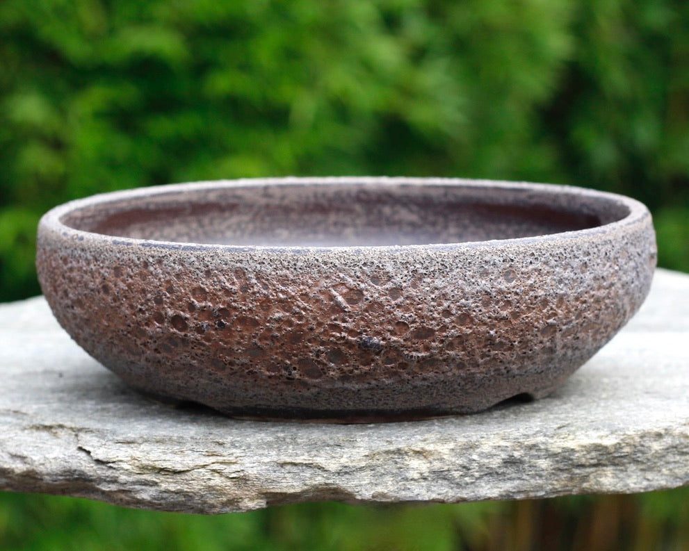 Bonsai Pot - 215mm x 55mm