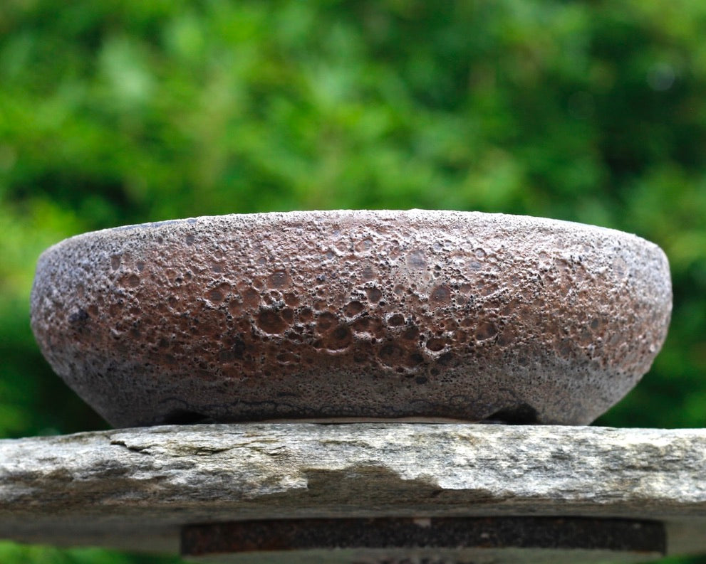 Bonsai Pot - 215mm x 55mm