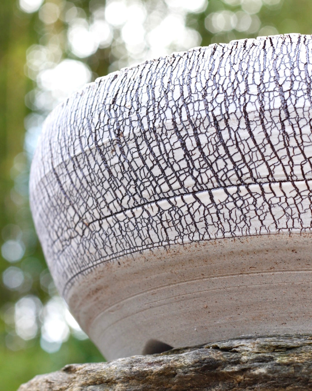 Bonsai Pot - 310mm x 120mm